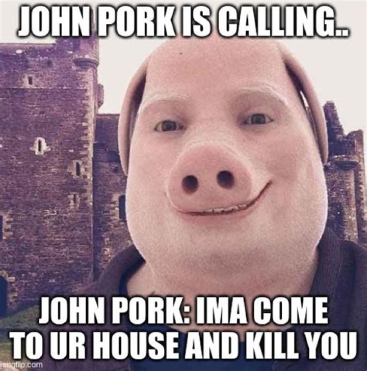 Was John Pork Killed? Virtual Influencer Found Dead In The River