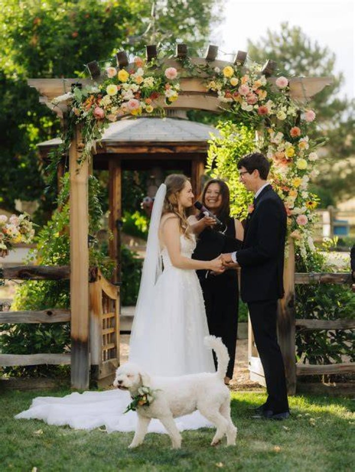 Wedding Photos! Emily Wilson marries Adhir Kalyan News