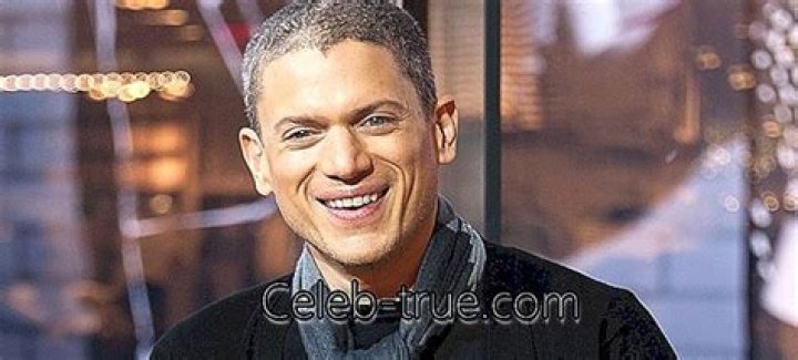 Wentworth Miller Biography Childhood, Life Achievements & Timeline