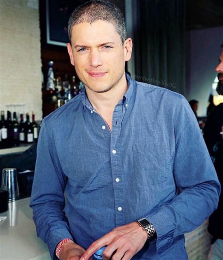 Wentworth Miller Net Worth, Bio, Height, Family, Age, Weight, Wiki 2023