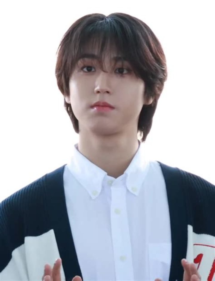 Wenwen Han Wiki & Bio Everipedia