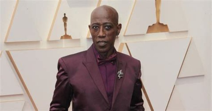 Wesley Snipes Health Problems What Happened To Him? Facts To Know