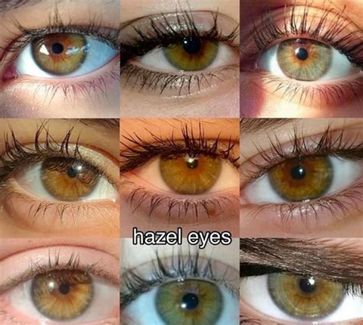 What are hazel eyes considered? iTRUST