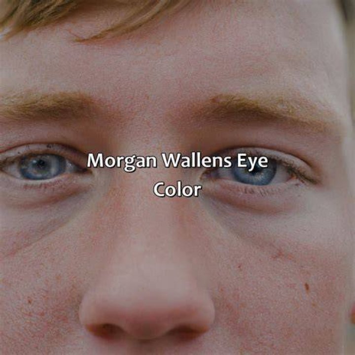 What Color Eyes Does Wallen Have