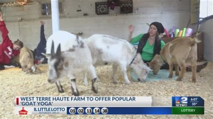 What Happens If Your Offer Expires on Goat What Happens Iff