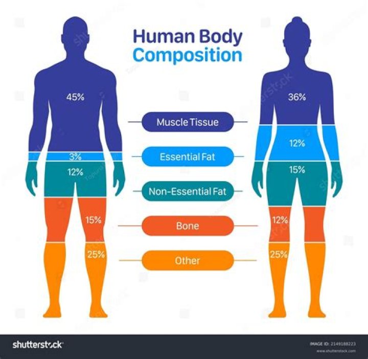What is Body Composition? And 5 Ways to Measure It