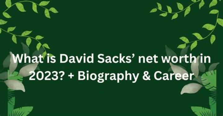 What is David Sacks Net Worth Growth Hackers