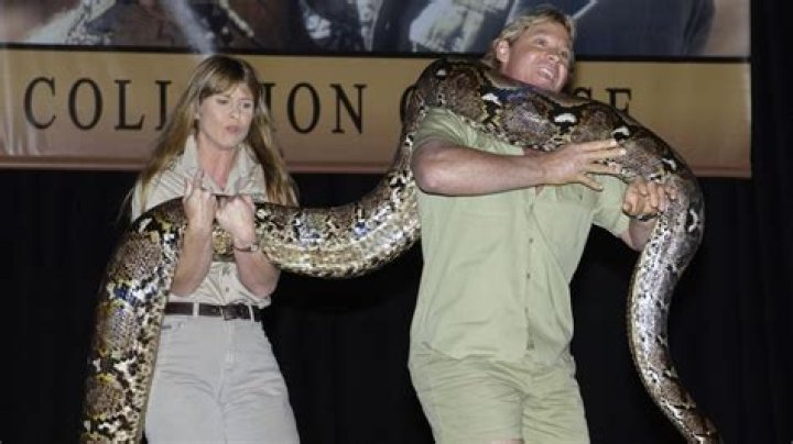 What is Terri Irwin's net worth? Steve Irwin's wife is the owner of