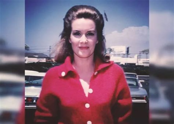 Where Is Sally Ann Howes Today? Look At Her Career And Life