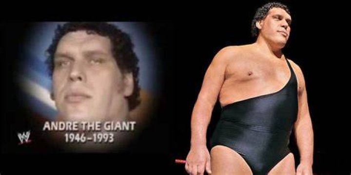 Who is Andr&eacute; the Giant's daughter, Robin ChristensenRoussimoff