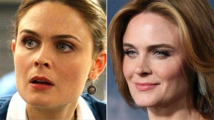 Who Is Emily Deschanel's Husband, David Hornsby?