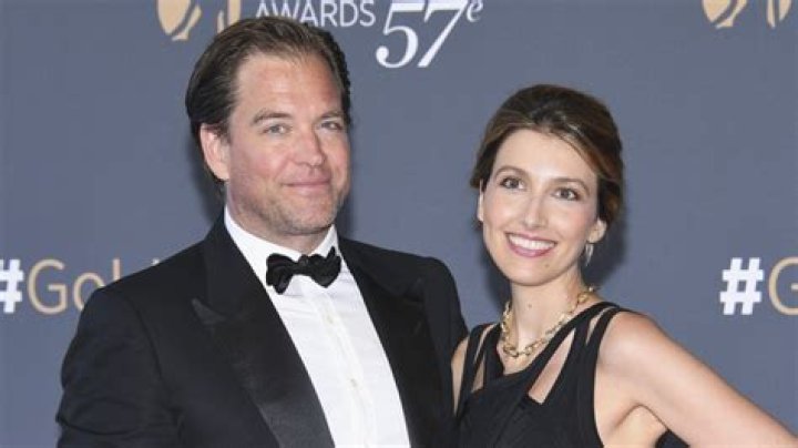 Who is Michael Weatherly's wife? The US Sun