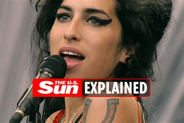 Why did Amy Winehouse go to rehab? The US Sun