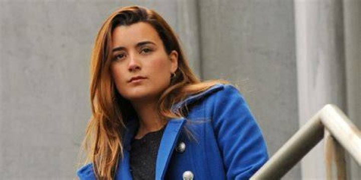 Why Did Cote de Pablo Leave 'NCIS'?