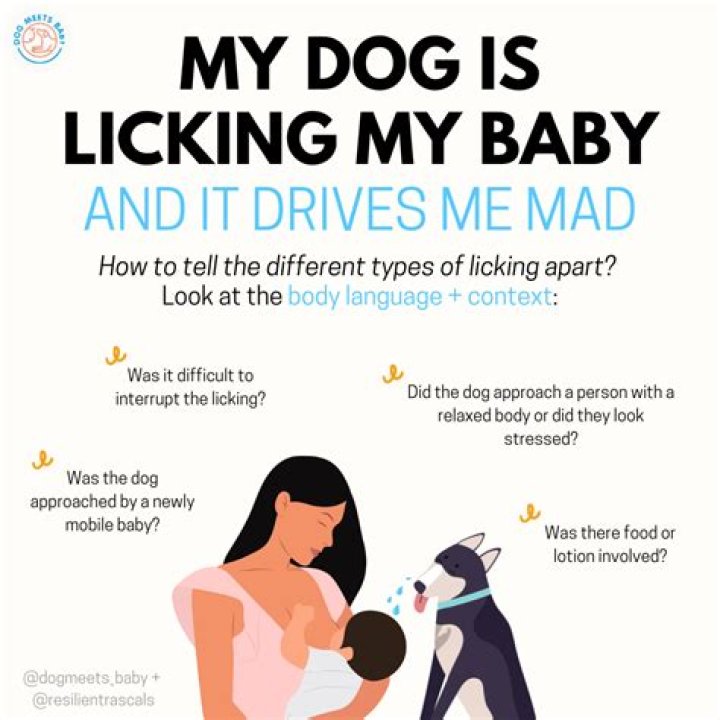 Why Does My Dog Fake Limp?