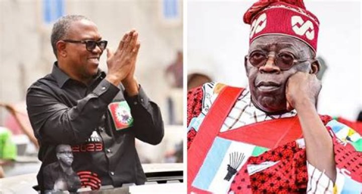 Why Peter Obi defeated Tinubu in FCT Senatorelect Kingibe Daily