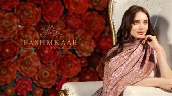 Wikkikashmir 9 successful kashmirorigin people, who are famous