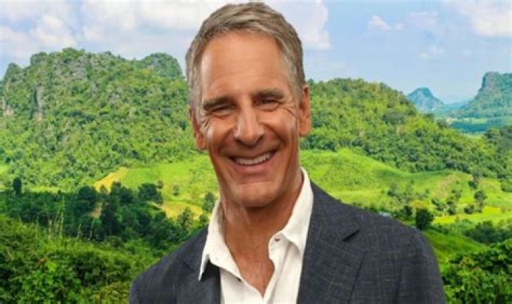 Wil Bakula Net Worth. How Much is Bakula&rsquo;s Wealth? Xivents