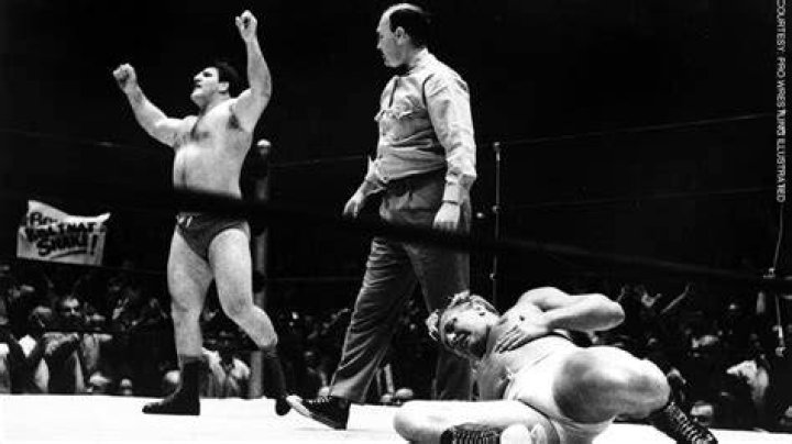 WWWF Bruno Sammartino Championship Wrestling Belts Wrestling