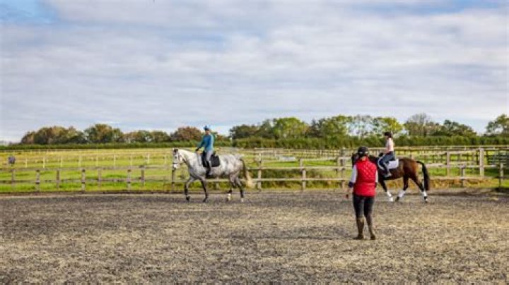 Yes Kelly is riding. They all do. Have world renowned trainer on set