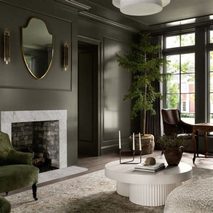 Yes to Olive Green, No to Bedroom TVs David Netto Shares His