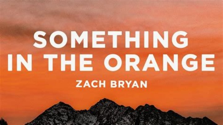 Zach Bryan Something in the Orange DIGITAL Download in 2023 Country