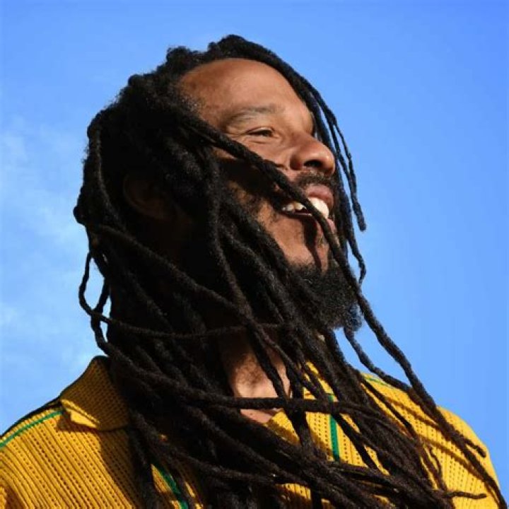 Ziggy Marley’s New Projects Repeating Islands